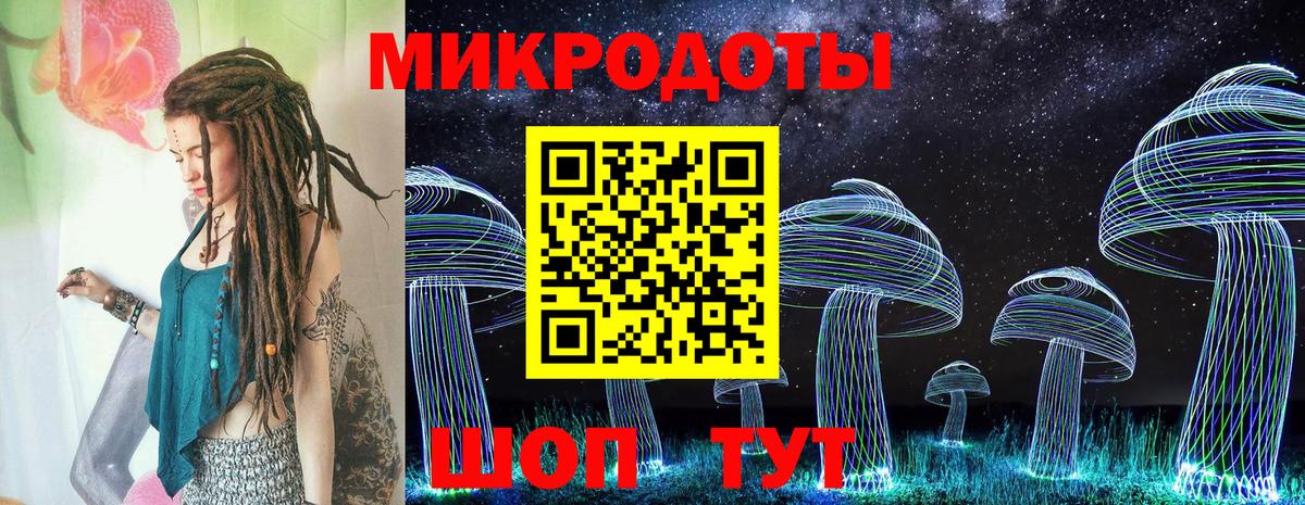 Псилоцибиновые грибы MAGIC MUSHROOMS Сланцы