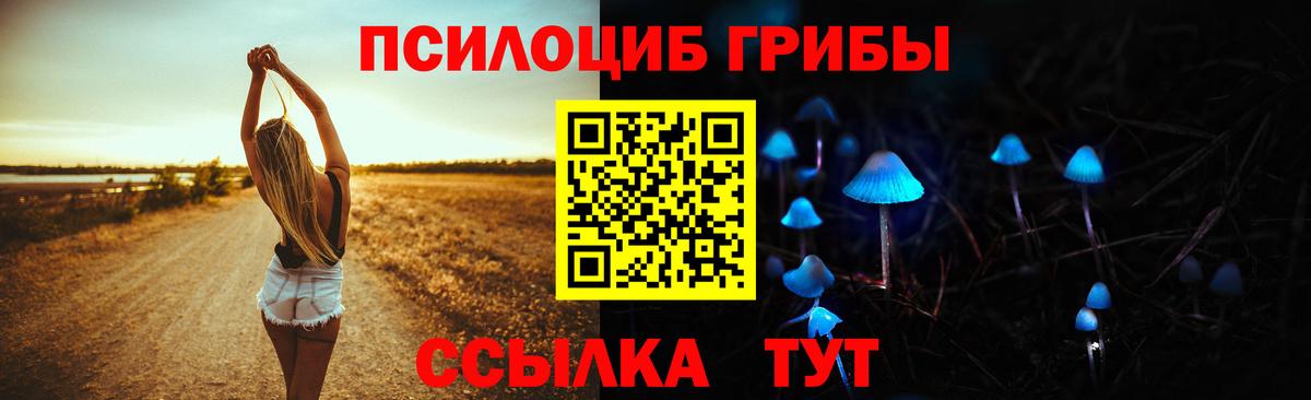 Сланцы  Галлюциногенные грибы мухоморы  где найти наркотики  Вход с VPN 